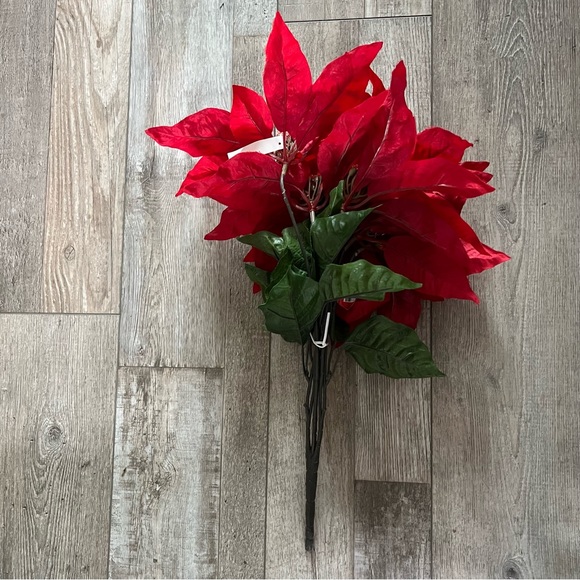 16 NEW Poinsettia Bundles - Picture 4 of 8